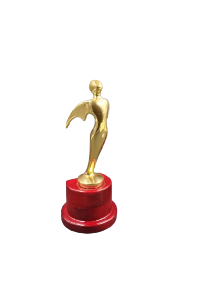 دروع  اشكال متنوعة